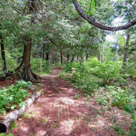 Tiny photo for 180 Caribou Tr, Lutsen, MN 55612 (MLS # 6127362)