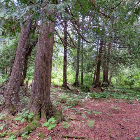 Tiny photo for 180 Caribou Tr, Lutsen, MN 55612 (MLS # 6127362)