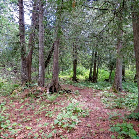 Tiny photo for 180 Caribou Tr, Lutsen, MN 55612 (MLS # 6127362)