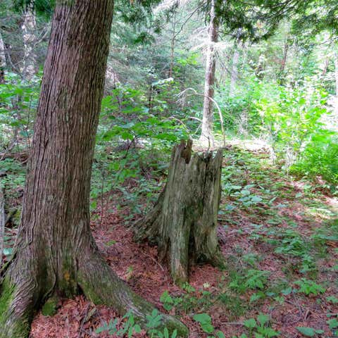 Tiny photo for 180 Caribou Tr, Lutsen, MN 55612 (MLS # 6127362)