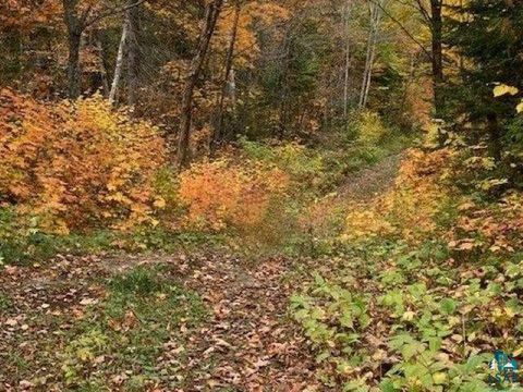 Tiny photo for 5503 Hwy 61 E, Hovland, MN 55606 (MLS # 6125168)
