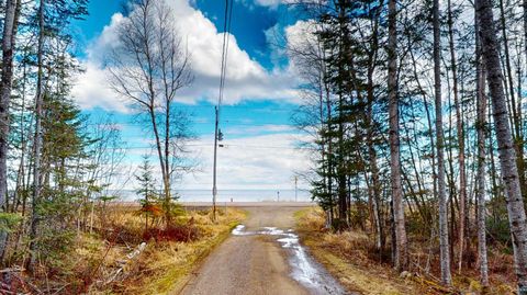Tiny photo for 5503 Hwy 61 E, Hovland, MN 55606 (MLS # 6125168)