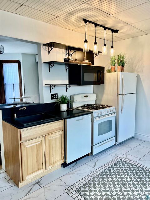 Tiny photo for 840 Lake Ave S AVE, Duluth, MN 55802 (MLS # 6125143)