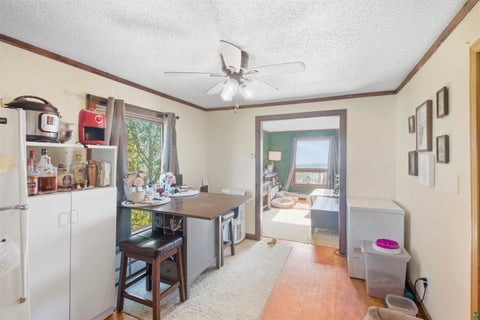 Tiny photo for 725 W 2nd St, Duluth, MN 55806 (MLS # 6128160)