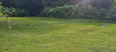 Tiny photo for 124 E Chisholm St, Duluth, MN 55803 (MLS # 6128061)