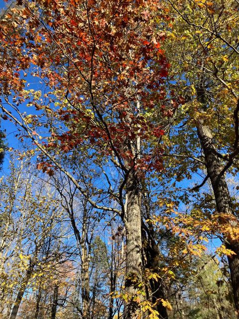 Tiny photo for 27 Lauren Rd, Duluth, MN 55804 (MLS # 6122677)