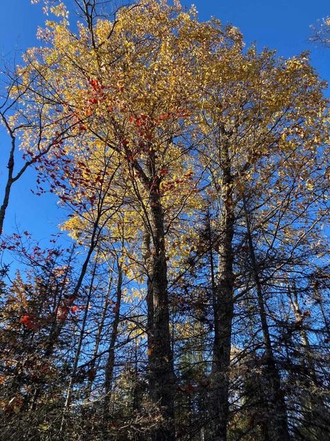 Tiny photo for 27 Lauren Rd, Duluth, MN 55804 (MLS # 6122677)