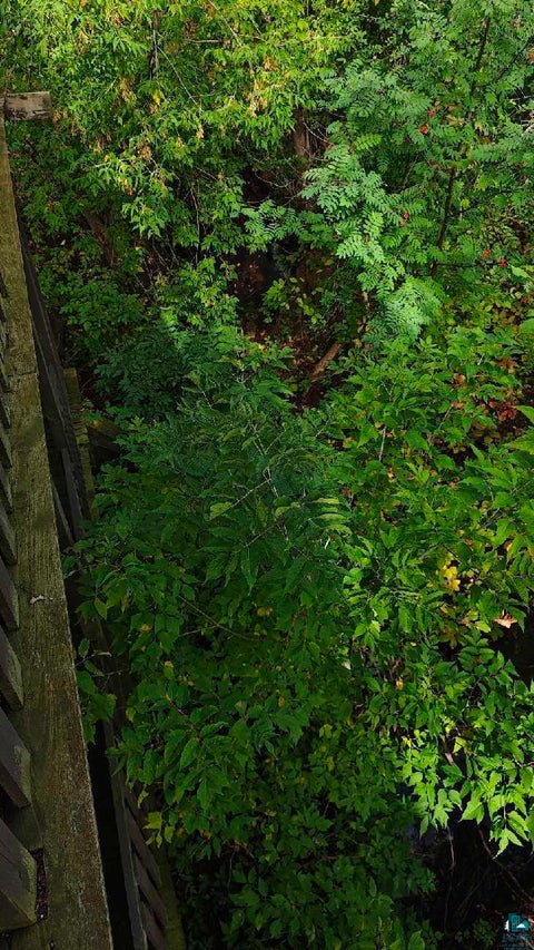 Tiny photo for 1215 W 4th St, Duluth, MN 55806 (MLS # 6128138)