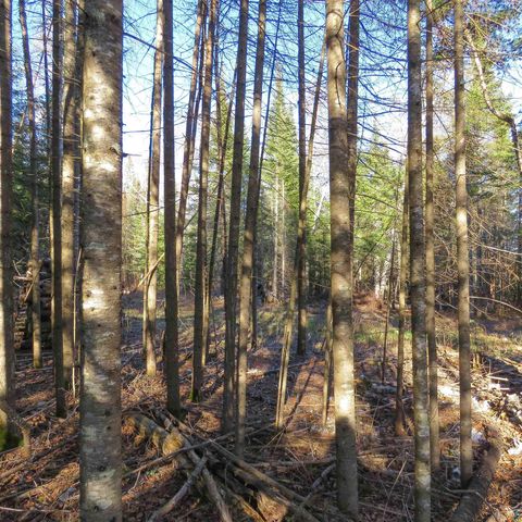 Tiny photo for 435 Cramer Rd, Schroeder, MN 55614 (MLS # 6125444)