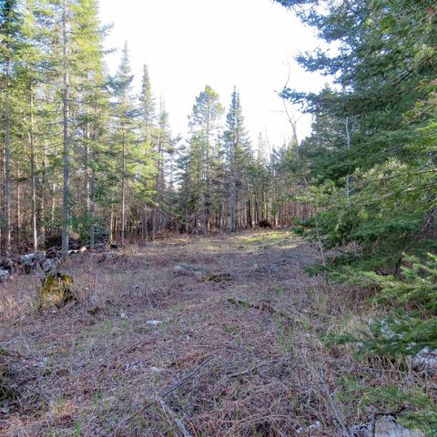 Tiny photo for 435 Cramer Rd, Schroeder, MN 55614 (MLS # 6125444)