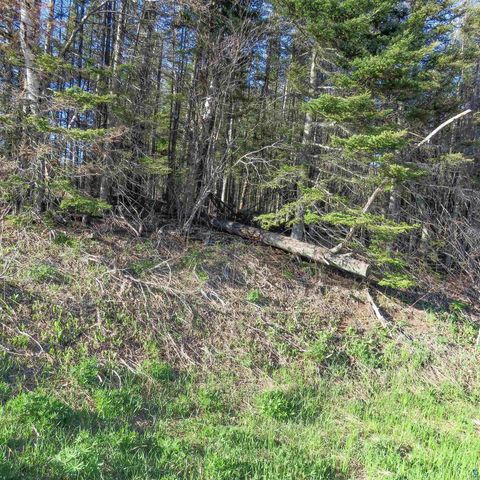 Tiny photo for 435 Cramer Rd, Schroeder, MN 55614 (MLS # 6125444)