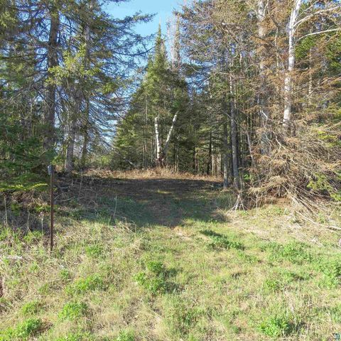 Tiny photo for 435 Cramer Rd, Schroeder, MN 55614 (MLS # 6125444)