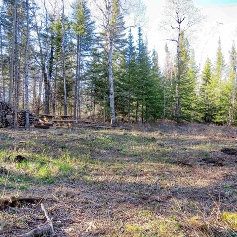 Tiny photo for 435 Cramer Rd, Schroeder, MN 55614 (MLS # 6125444)