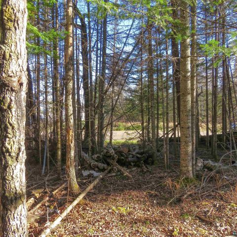 Tiny photo for 435 Cramer Rd, Schroeder, MN 55614 (MLS # 6125444)
