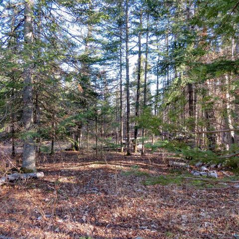 Tiny photo for 435 Cramer Rd, Schroeder, MN 55614 (MLS # 6125444)