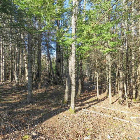 Tiny photo for 435 Cramer Rd, Schroeder, MN 55614 (MLS # 6125444)