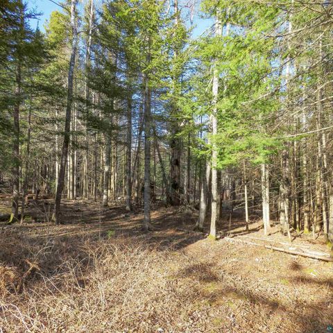 Tiny photo for 435 Cramer Rd, Schroeder, MN 55614 (MLS # 6125444)
