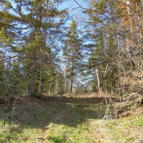 Tiny photo for 435 Cramer Rd, Schroeder, MN 55614 (MLS # 6125444)