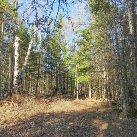 Tiny photo for 435 Cramer Rd, Schroeder, MN 55614 (MLS # 6125444)