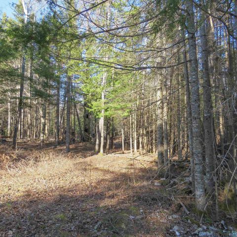 Tiny photo for 435 Cramer Rd, Schroeder, MN 55614 (MLS # 6125444)