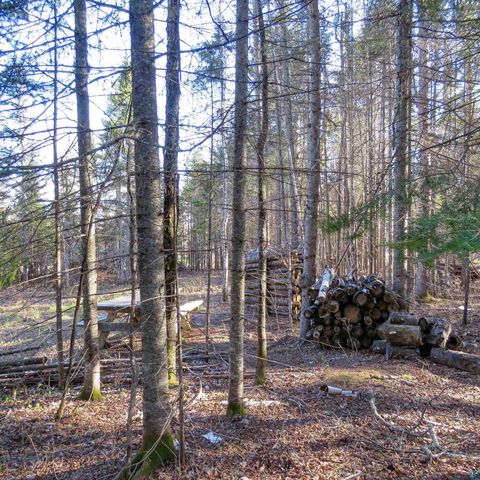 Tiny photo for 435 Cramer Rd, Schroeder, MN 55614 (MLS # 6125444)