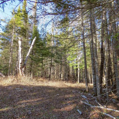 Tiny photo for 435 Cramer Rd, Schroeder, MN 55614 (MLS # 6125444)
