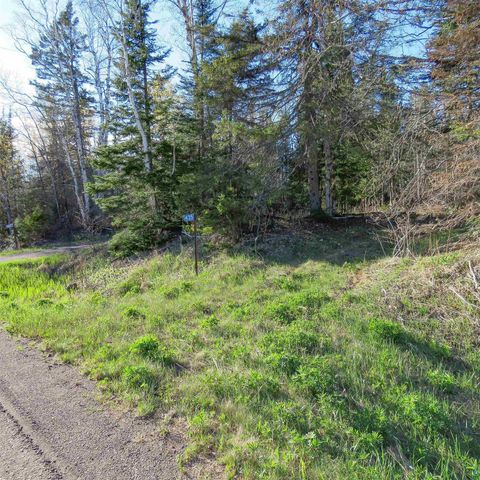 Tiny photo for 435 Cramer Rd, Schroeder, MN 55614 (MLS # 6125444)