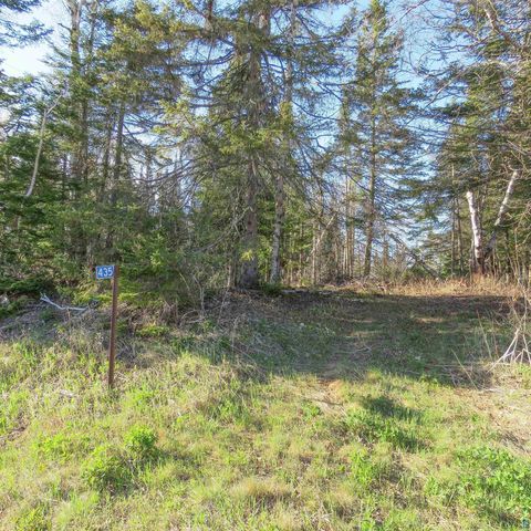 Tiny photo for 435 Cramer Rd, Schroeder, MN 55614 (MLS # 6125444)