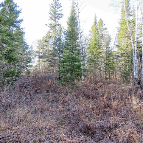 Tiny photo for 435 Cramer Rd, Schroeder, MN 55614 (MLS # 6125444)
