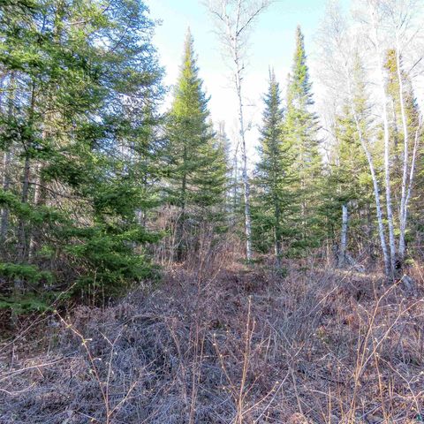 Tiny photo for 435 Cramer Rd, Schroeder, MN 55614 (MLS # 6125444)