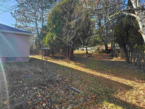 Tiny photo for 1403 E 8th St, Duluth, MN 55805 (MLS # 6122896)