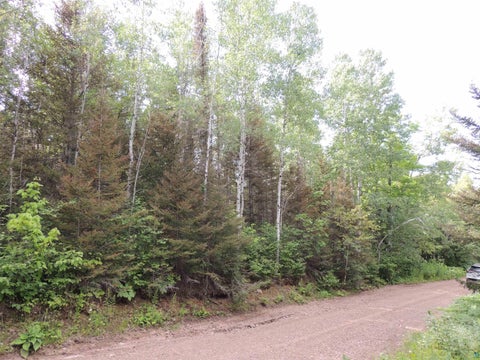 Tiny photo for 2 Cougar Tr, Grand Marais, MN 55604 (MLS # 6126918)