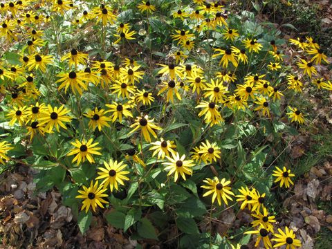 Tiny photo for 1627 W 5th St, Grand Marais, MN 55604 (MLS # 6123466)