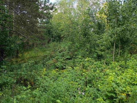 Tiny photo for 3619 Hwy 33, Cloquet, MN 55720 (MLS # 6127138)