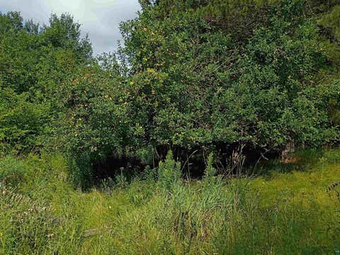 Tiny photo for 3619 Hwy 33, Cloquet, MN 55720 (MLS # 6127138)