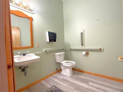 Tiny photo for 133 E Chapman St, Ely, MN 55731 (MLS # 6126406)