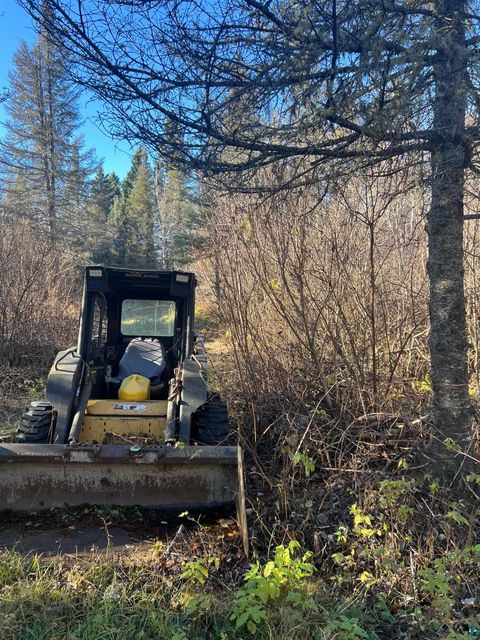 Tiny photo for TBD Heffelfinger Tr, Finland, MN 55603 (MLS # 6125226)
