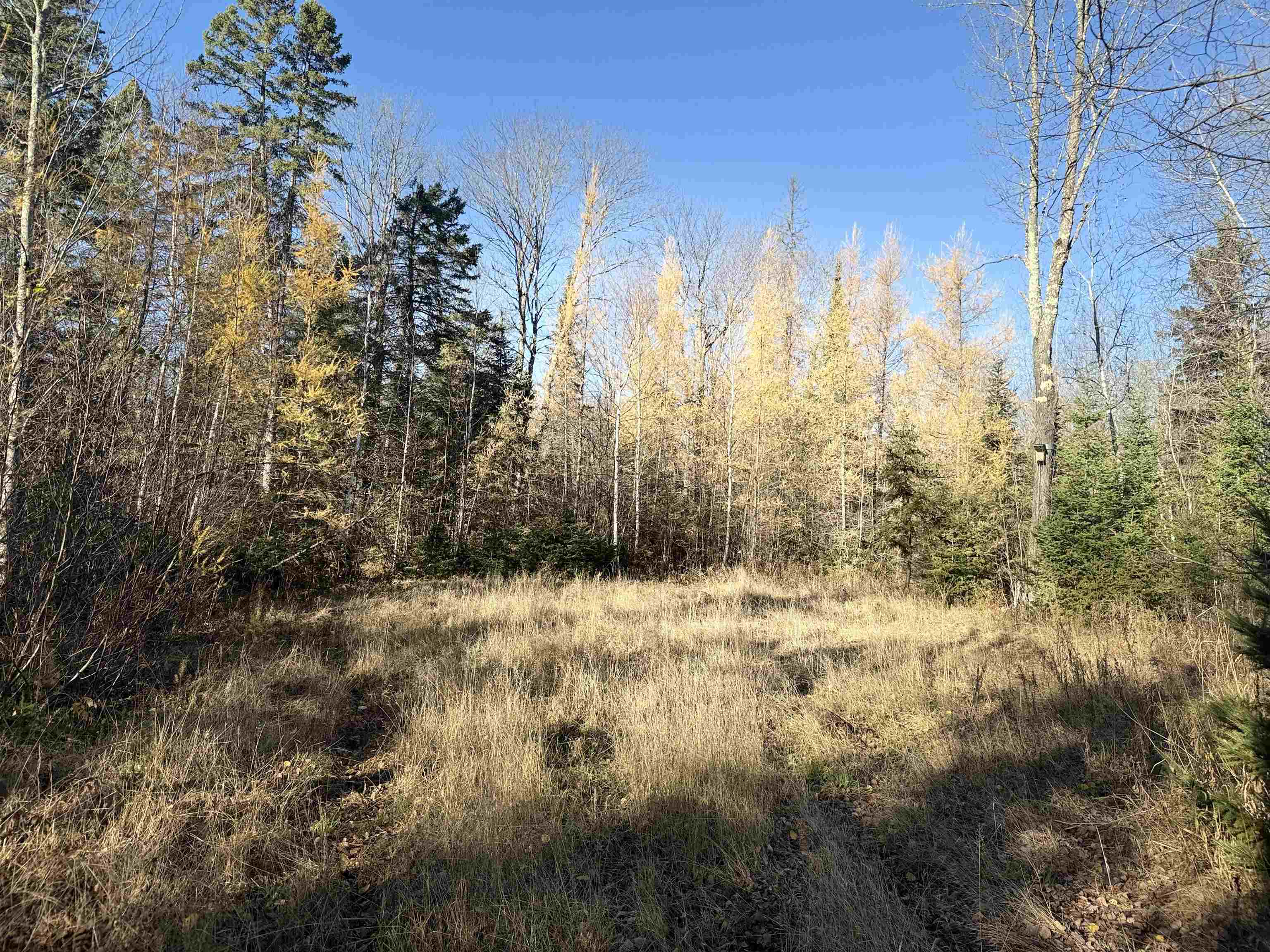 6027 N County Hwy M