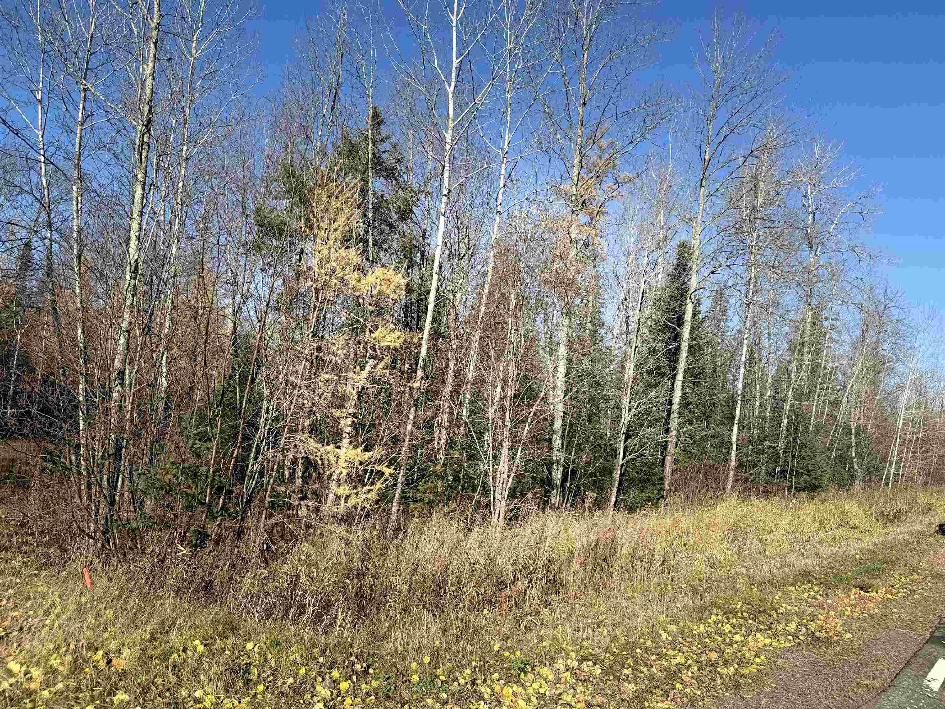 6027 N County Hwy M