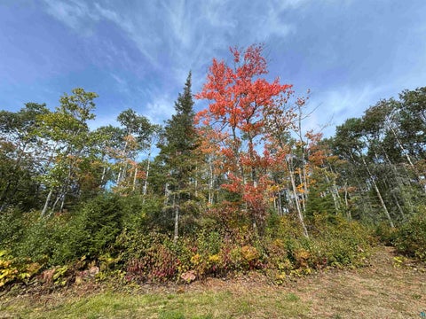 Tiny photo for 6827 Two Moose Tr, Finland, MN 55603 (MLS # 6128099)
