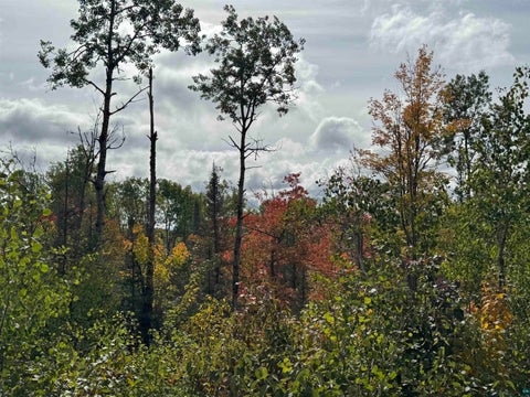 Tiny photo for 6827 Two Moose Tr, Finland, MN 55603 (MLS # 6128099)