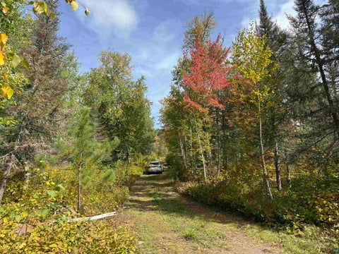 Tiny photo for 6827 Two Moose Tr, Finland, MN 55603 (MLS # 6128099)
