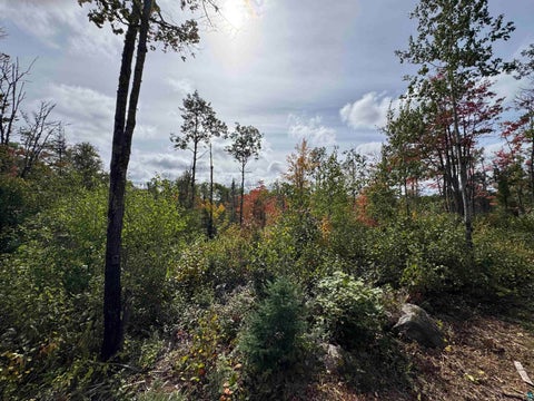 Tiny photo for 6827 Two Moose Tr, Finland, MN 55603 (MLS # 6128099)