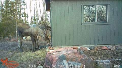 Tiny photo for 6827 Two Moose Tr, Finland, MN 55603 (MLS # 6128099)