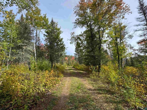 Tiny photo for 6827 Two Moose Tr, Finland, MN 55603 (MLS # 6128099)
