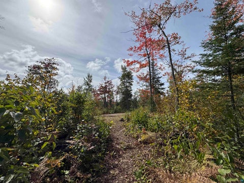 Tiny photo for 6827 Two Moose Tr, Finland, MN 55603 (MLS # 6128099)