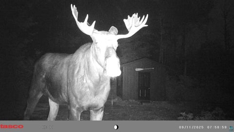 Tiny photo for 6827 Two Moose Tr, Finland, MN 55603 (MLS # 6128099)