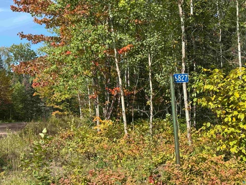 Tiny photo for 6827 Two Moose Tr, Finland, MN 55603 (MLS # 6128099)