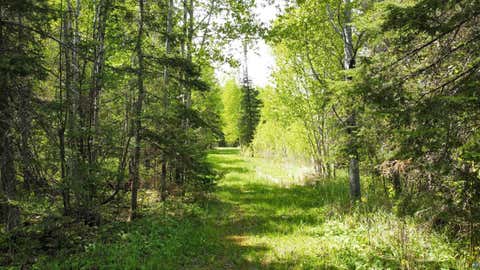 Tiny photo for 5377 McQuade Rd, Duluth, MN 55804 (MLS # 6126151)