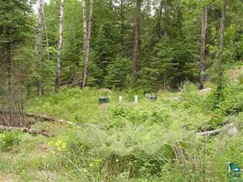 Tiny photo for 1687 Golden Ridge Tr, Ely, MN 55731 (MLS # 6124884)